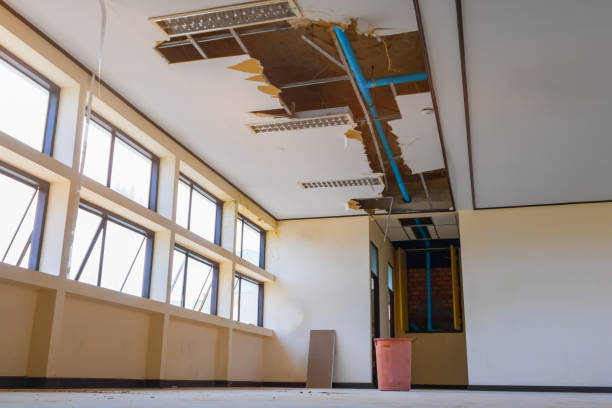 Best Sewage cleanup and water damage restoration  in West Park, CA