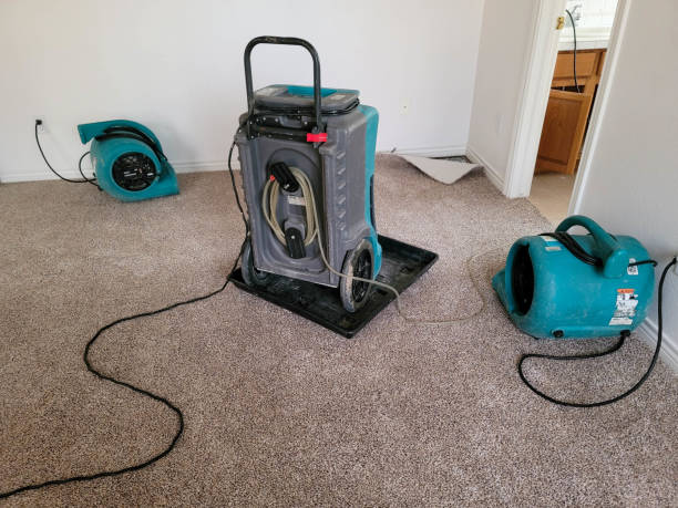 Best Water damage restoration near me  in West Park, CA