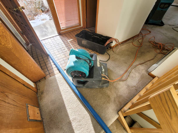  West Park, CA Water damage restoration Pros