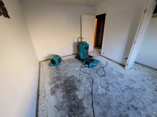 Best Flood damage cleanup  in West Park, CA