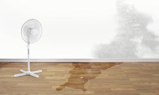 Best Sewage cleanup and water damage restoration  in West Park, CA
