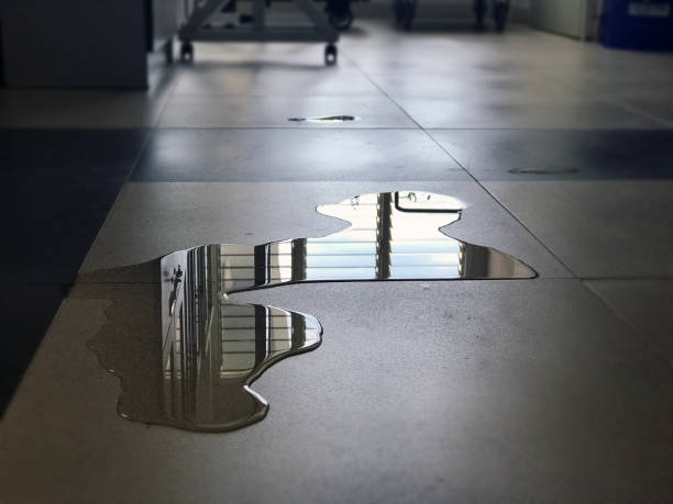 Best Water damage contractors near me  in West Park, CA