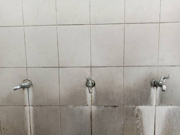 Best Flood restoration services  in West Park, CA
