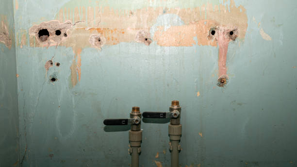 Best Carpet water damage restoration  in West Park, CA