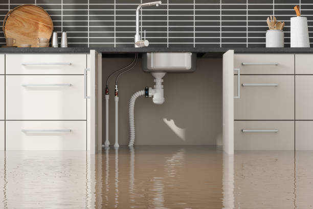 Best 24-hour water damage restoration  in West Park, CA