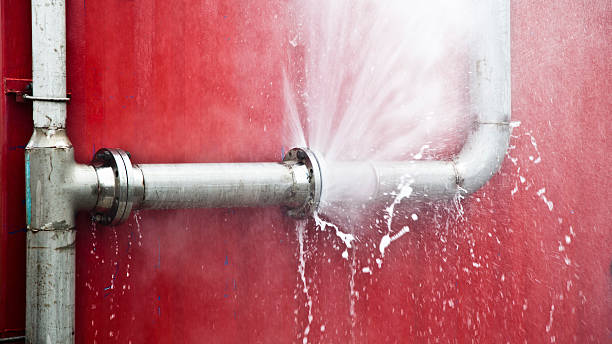 Best Flooded house restoration  in West Park, CA