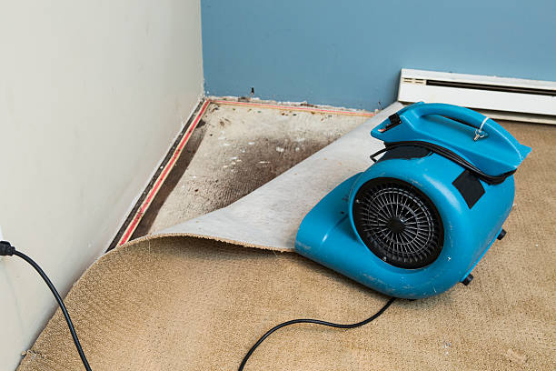 Best Basement water damage restoration  in West Park, CA